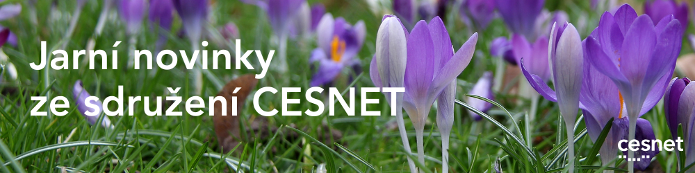 Povolte externí obrázky.