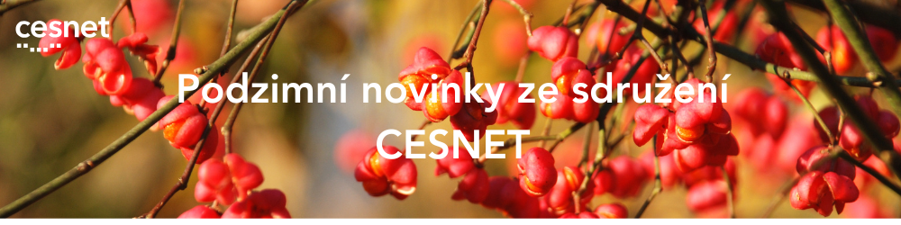 Nahoře povolte externí obrázky.