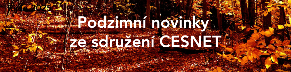 Povolte externí obrázky.